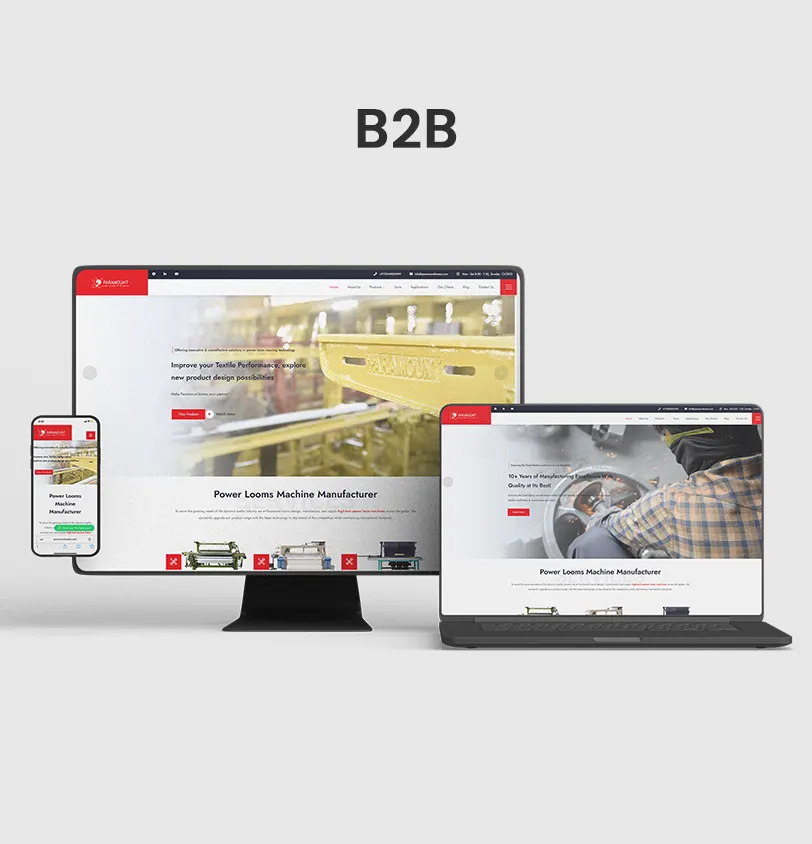 Website Development for B2B Industry in India