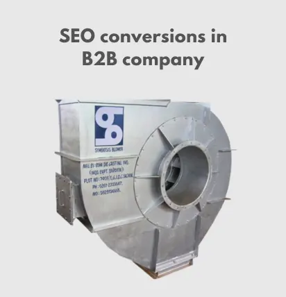 SEO for B2B Company
