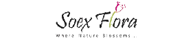 Soex-flora-Logo